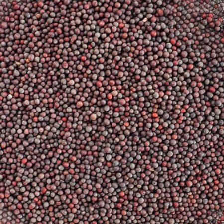Mustard seed